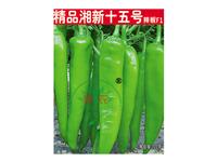 精品湘新十五号