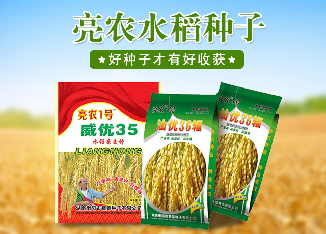 衡阳市蔬菜种子有限公司