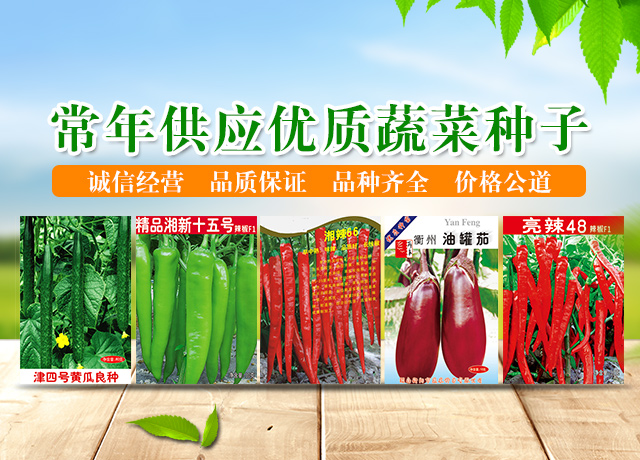衡阳市蔬菜种子有限公司