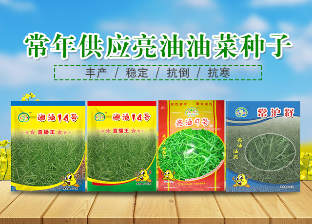 衡阳市蔬菜种子有限公司